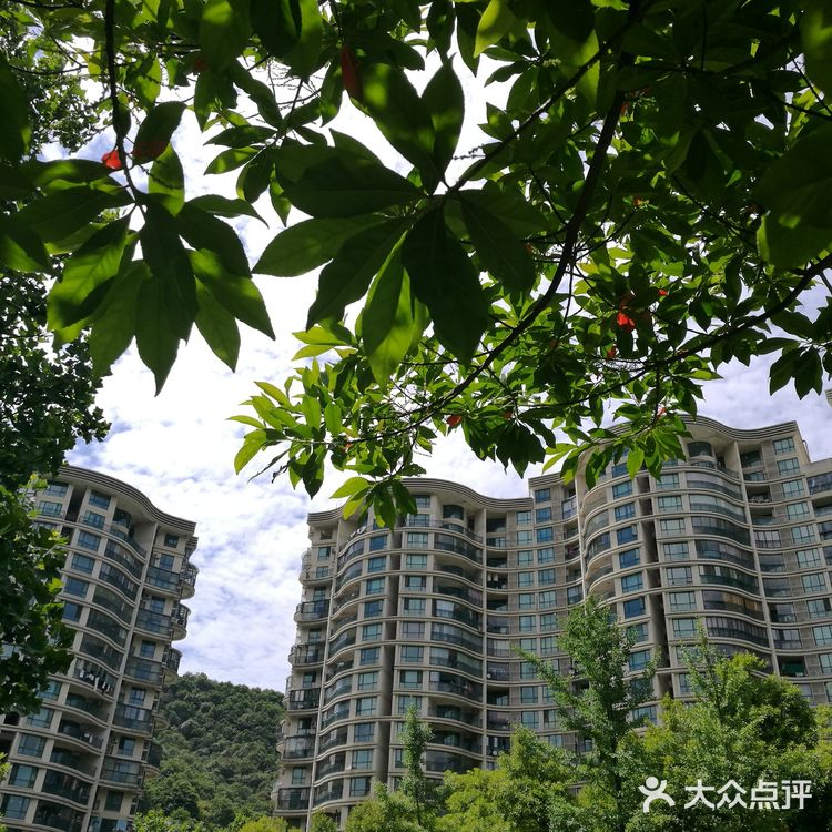 富阳华庭云顶小区, 环境优美, 四周青山绿水