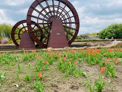 -长春公园(普阳街道)