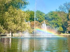 -上海共青森林公园