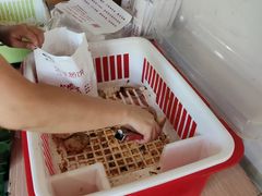 -金莲葱饼店