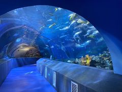 -太平洋海底世界