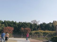 -嘉定紫藤园