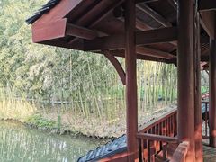 -南汇桃花村