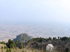 -富平县金粟山森林公园