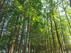 -云龙湖旅游景区