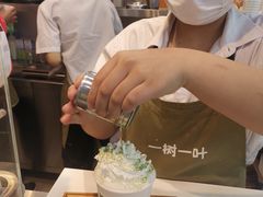 -一树一叶·福建茶档(石鼓路店)