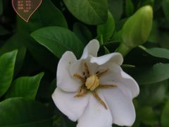 -陈李济中药博物馆