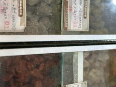 -苏州蜜饯门市部