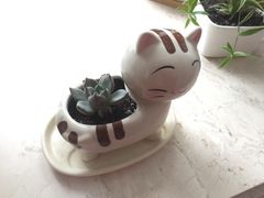 -新湖明珠城