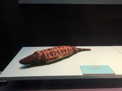 -浙江西湖美术馆