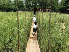 -河北村民俗体验园