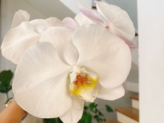 -森野花艺培训·企业团建活动沙龙