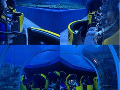 -珠海长隆海洋王国
