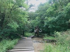 -大青沟风景区
