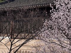 -江宁织造博物馆