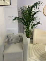 -宝妈港湾·妙初产后恢复(西局店)