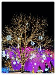 -Early Rider 儿童自行车(蓝色港湾店)