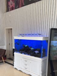 -爱儿美儿童摄影(五路居花园别墅店)