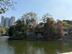 -荔湾湖公园