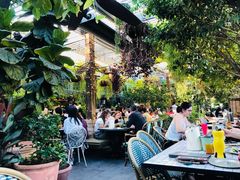 景观位-The Grounds of Alexandria