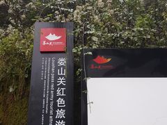 -娄山关景区