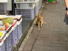 -逍遥镇刘相五胡辣汤豆沫馆(康复中街店)