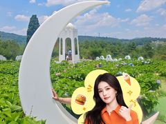 -名花谷生态庄园