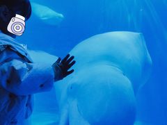 -多彩贵州城极地海洋世界