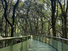 -富春桃源风景区