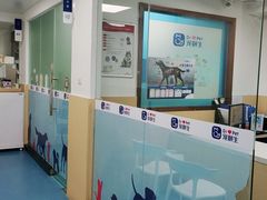 -宠颐生猫科·内科皮肤科(西平世纪城店)