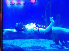 -多彩贵州城极地海洋世界