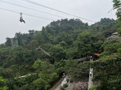 -南丹山森林王国