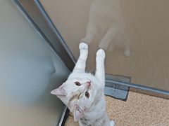-宠颐生中康贝怡动物医院