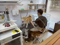 -佐罗家宠物馆·猫文化馆(紫霞路店)