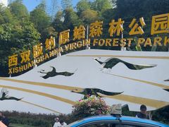 -西双版纳原始森林公园