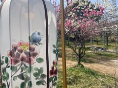 -无锡梅园公园