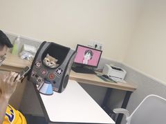 -谐和贝康宠物医院24小时·宠保定点(急重症转诊中心)