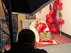 -超宠爱宠物摄影-Super pet