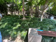 -狼山风景名胜区