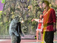 -灵玲国际马戏城