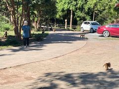 -重庆雨台山风景区