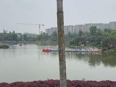 -枫香湖儿童公园