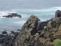 -龙头岩(Dragon Head Rock)