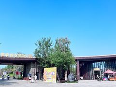 -西山漾湿地公园