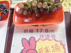 -马陆小张葡萄园农家乐