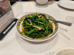 -峨嵋一派
