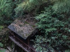 -莫干山风景区