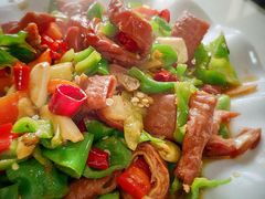 尖椒肥肠-瑜瑜饭馆