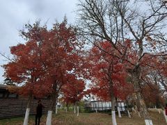 -长春世界雕塑园冰雪艺术天地