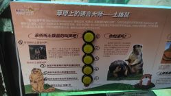 -酷嗒动物文化乐园(cutezoo西溪乐天城店)